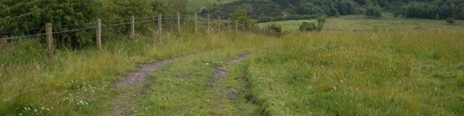Public footpath leading to Causey Arch