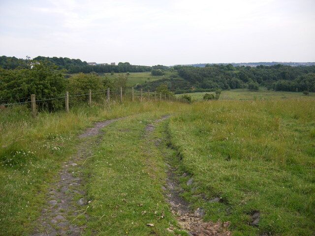 A rural path in a grassy field with a fence on one side and a forested hill in the background.