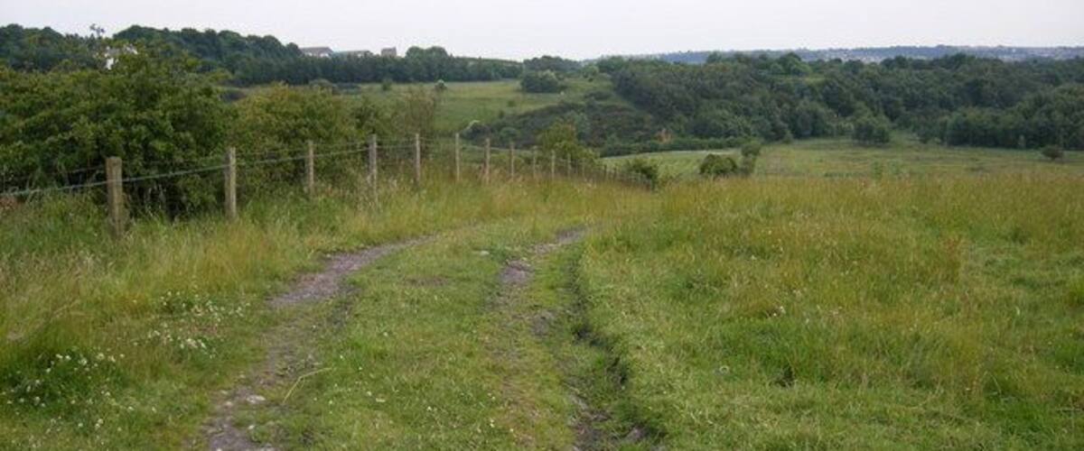 A rural path in a grassy field with a fence on one side and a forested hill in the background.