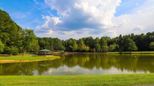 a gorgeous shot of the vast still green waters of the lake surrounded by lush green grass and trees with mallard ducks and Canadian geese, a blue pergola, blue sky and clouds at Huddleston Pond Park