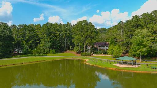 a gorgeous shot of the vast still green waters of the lake surrounded by lush green grass and trees with mallard ducks and Canadian geese, a blue pergola, blue sky and clouds at Huddleston Pond Park