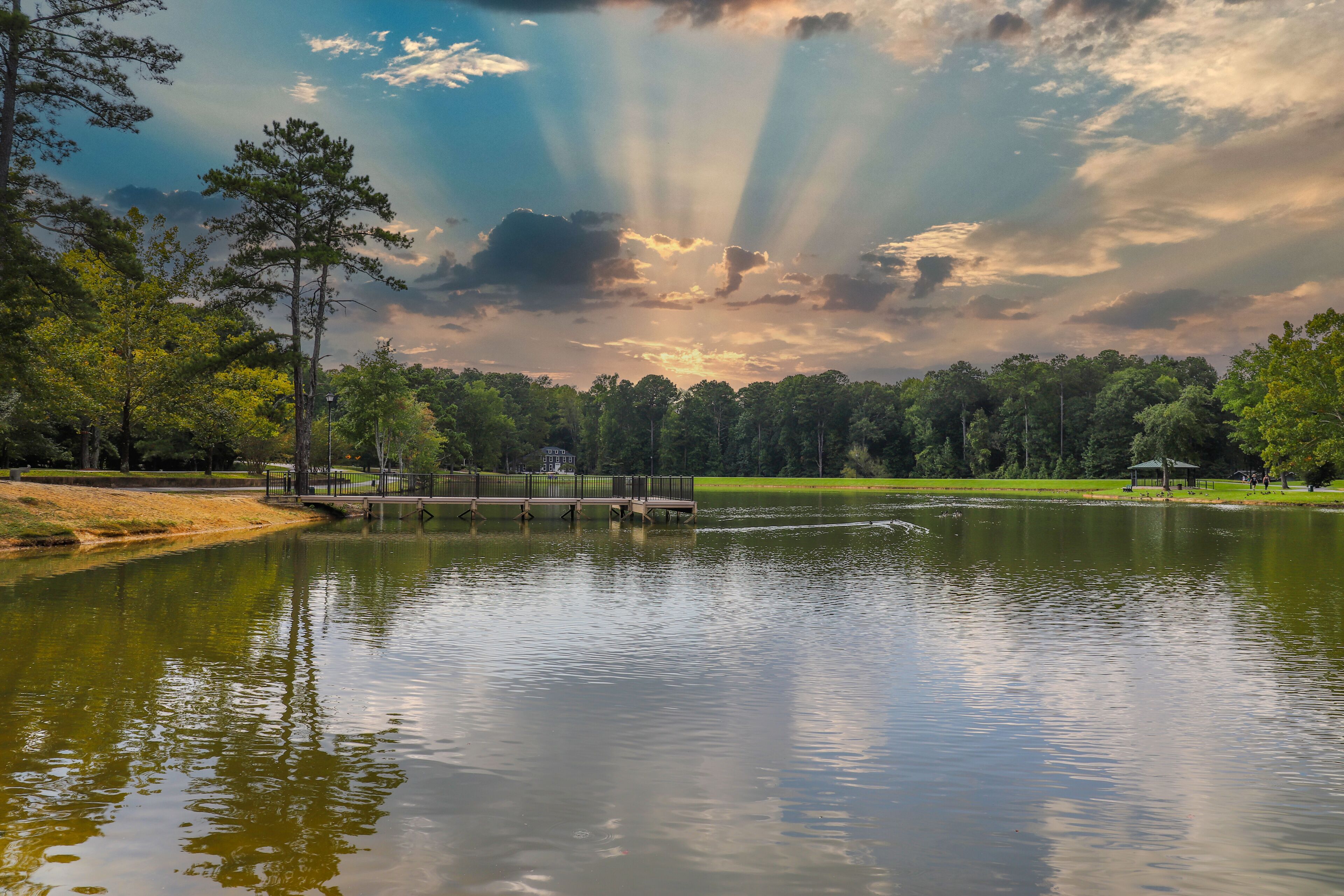 a gorgeous shot of the still green lake water with lush green trees reflecting off the lake, a wooden dock with black rod iron railing, ducks and geese with blue sky and clouds at Huddleston Pond Park