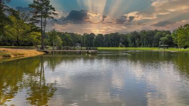 a gorgeous shot of the still green lake water with lush green trees reflecting off the lake, a wooden dock with black rod iron railing, ducks and geese with blue sky and clouds at Huddleston Pond Park