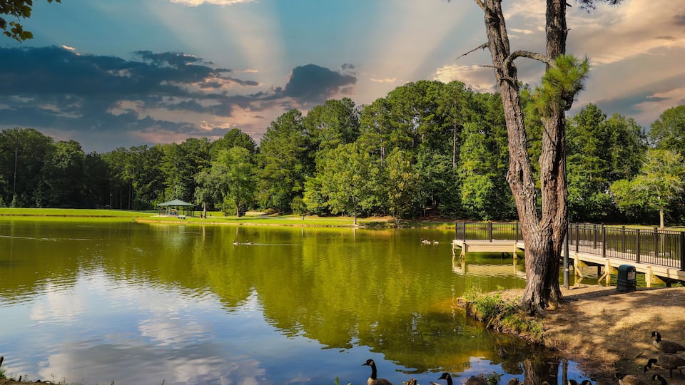 A lake with ducks, a wooden bridge, and a forested area.