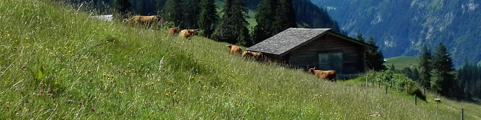 Enjoy this hike from Frutigen to Blausee in the beautiful valley of Kandertal.
