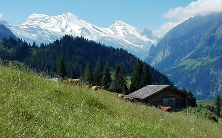 Cheap Flights to Frutigen - Main Image