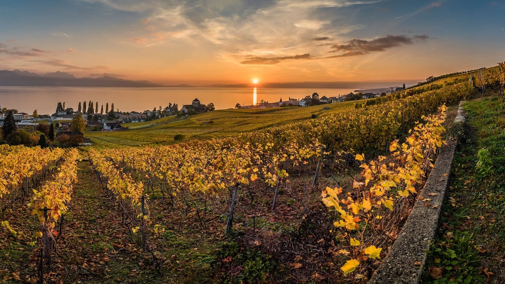 Sunset and panorama over vineyards in Lutry