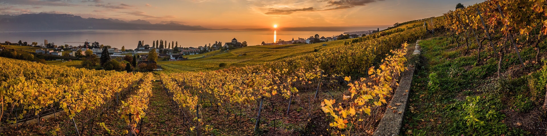 Sunset and panorama over vineyards in Lutry