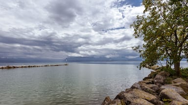 Um lago tranquilo com margem rochosa, um farol ao longe e uma árvore à direita.