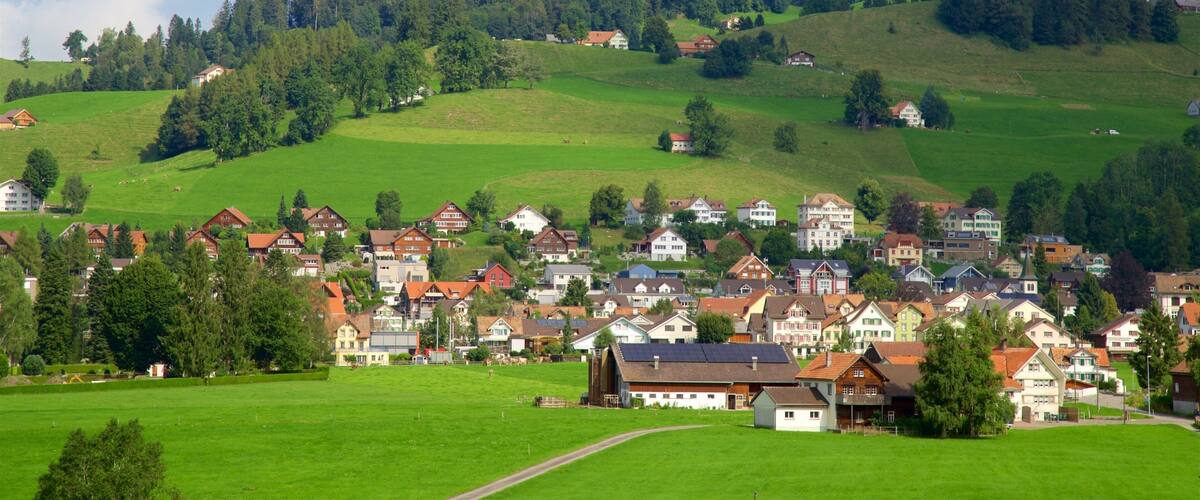 A picturesque village nestled in a valley with rolling hills and a dense forest in the background.