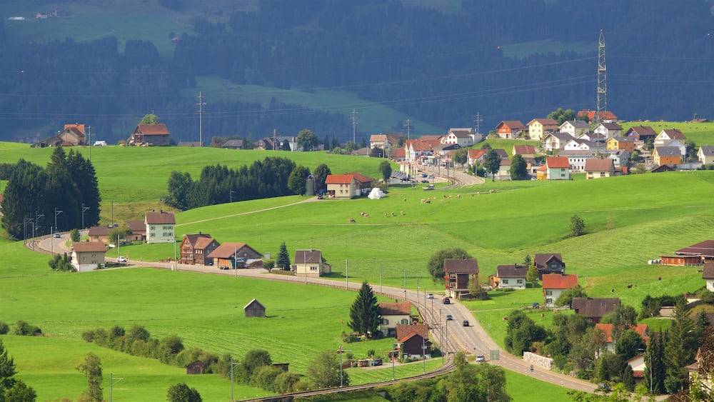 Un village rural avec des champs verdoyants, des maisons et une route sinueuse.