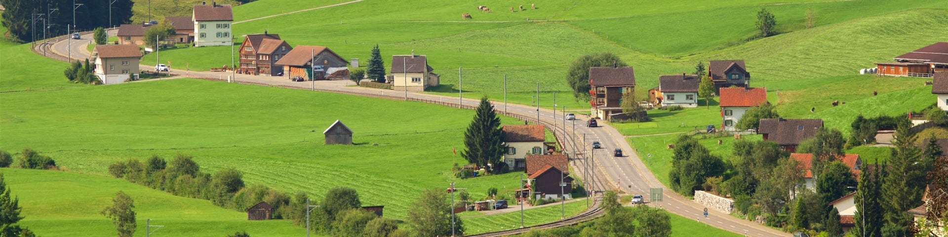 A rural village with green fields, houses, and a winding road.