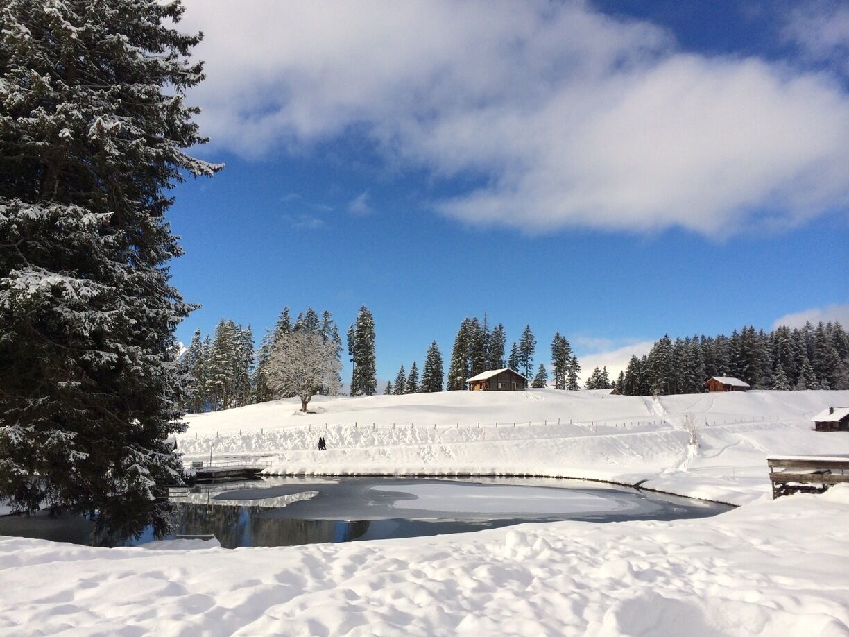 A snow-covered landscape with a pond, trees, and cabins.
