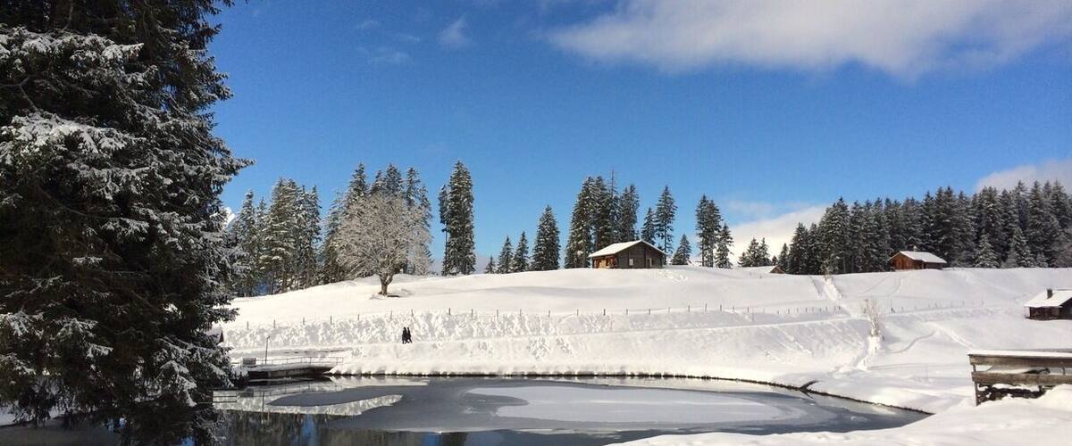 A snow-covered landscape with a pond, trees, and cabins.