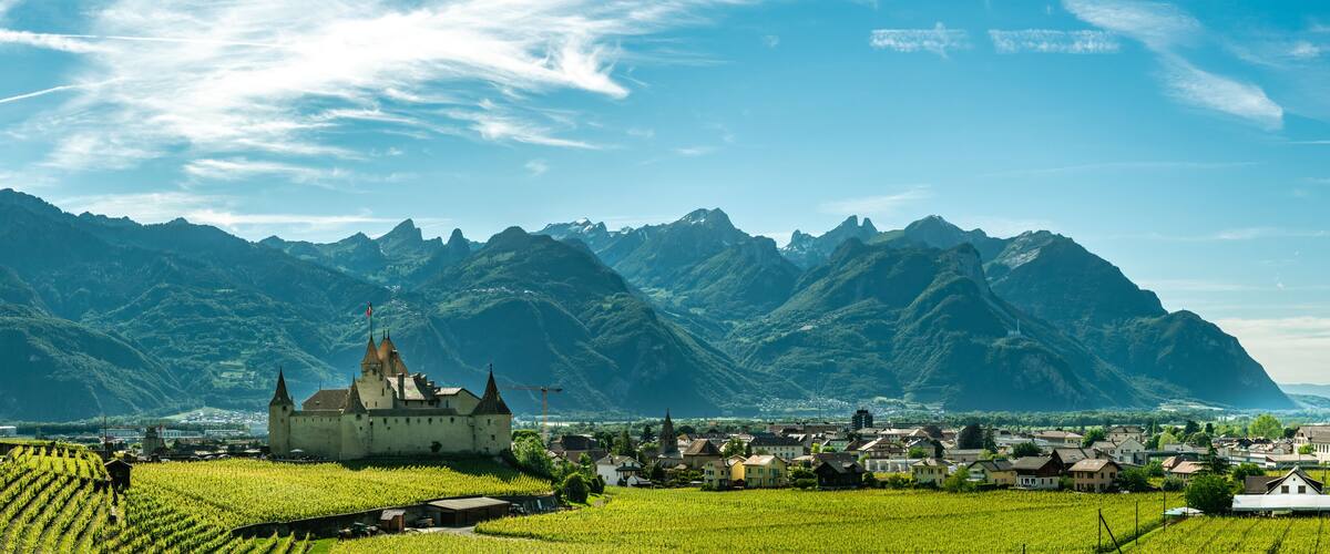 A castle surrounded by vineyards and mountains.