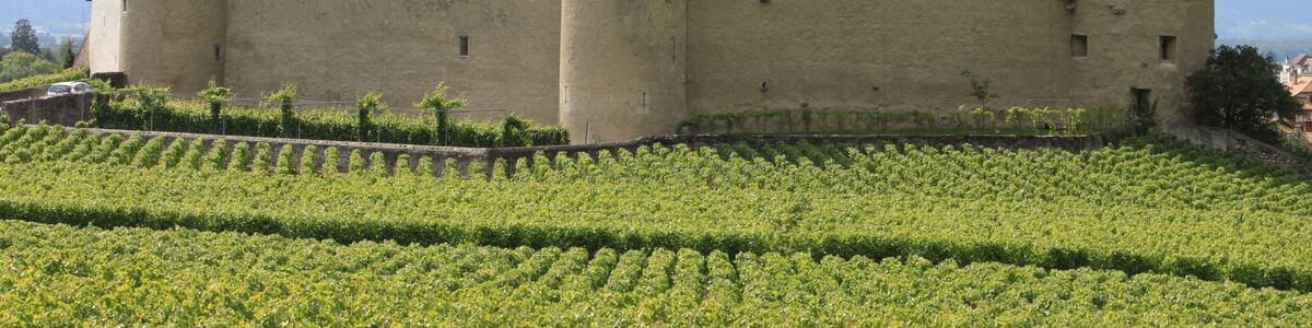 Château d'Aigle (Suisse)