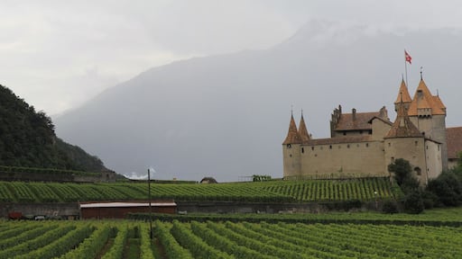 Vignes et Château d'aigle