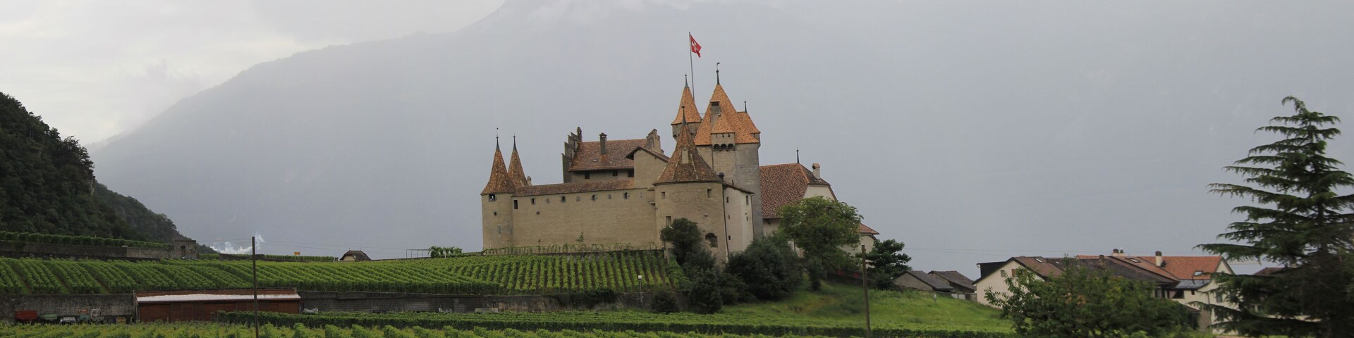 Vignes et Château d'aigle