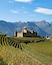 Switzerland is a paradise for castle lovers like me! And fortunately, they are for the most part now museums. Chateau d'Aigle is no exception and is home to the Vine and Wine Museum, and is surrounded by vineyards. A must see for wine lovers, and why not stop by one of the wine makers and have a taste of Swiss wine? #MyBackyard