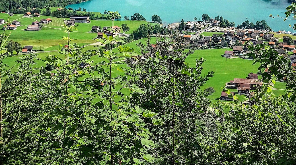 Lake Lungern, Switzerland
#adventure #adventurephotocontest