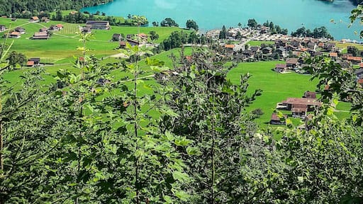 Lake Lungern, Switzerland
#adventure #adventurephotocontest