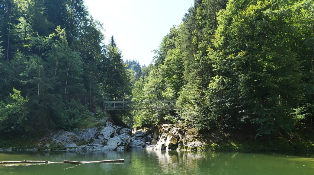 Beim Badeplatz Strom, fliessen die Sitter und der Rotbach zusammen.