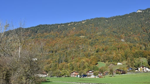 ๋ง๊ฒ๋ฒ ๋ฅด๊ทธ