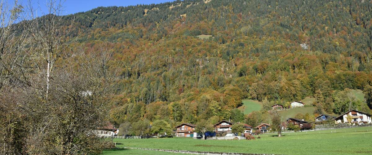 A mountainous landscape with autumn-colored trees and several houses on a hillside.
