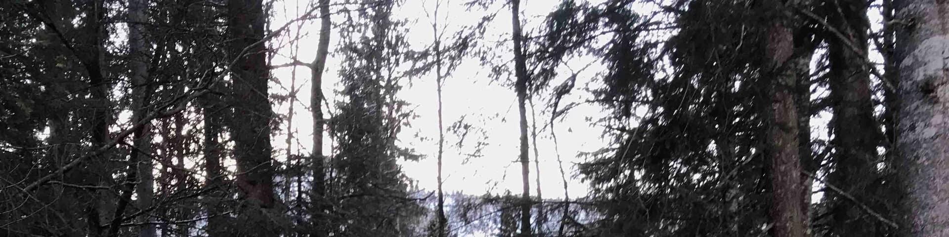 At the bottom of Frutt station