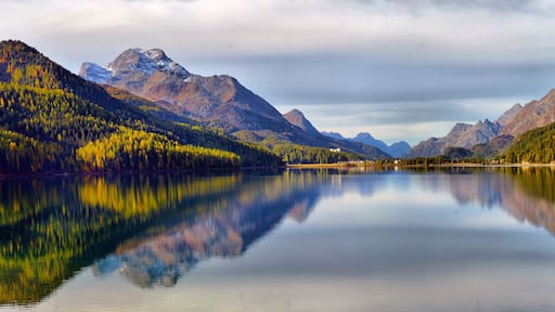 Mountain lake panorama with mountains reflection. Idyllic look. Autumn forest. Silvaplana Lake, Switzerland