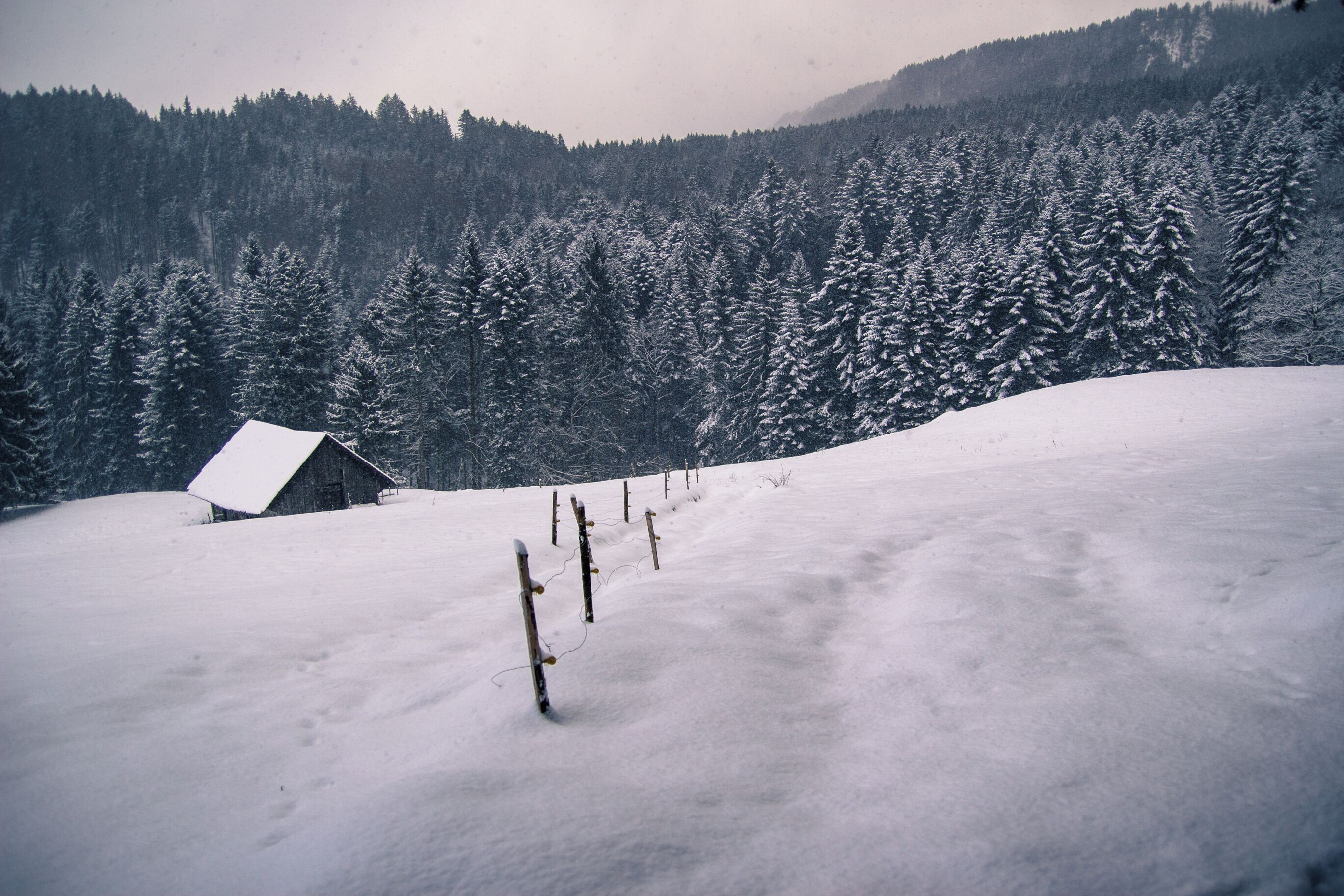 Winter hiking in Fiesch, enjoy the beautiful scenery along the way!