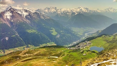 #TroveOn
A stunning view of the Swiss Alps from the Bettmerhorn (2,858m), accessible by a cable car from the quaint town of Fiesch, and an hour or so hiking, including a 100m climb up a sketchy rock pile that essentially makes up the Bettmerhorn "peak."
As sketchy as the final ascent may appear, I 100% recommend it. As you can see (although the picture is nowhere near as incredible as the real thing), the view is pretty spectacular.
