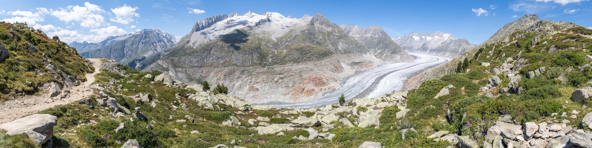 Aletsch Glacier panorama in summer, Bernese Alps, Switzerland