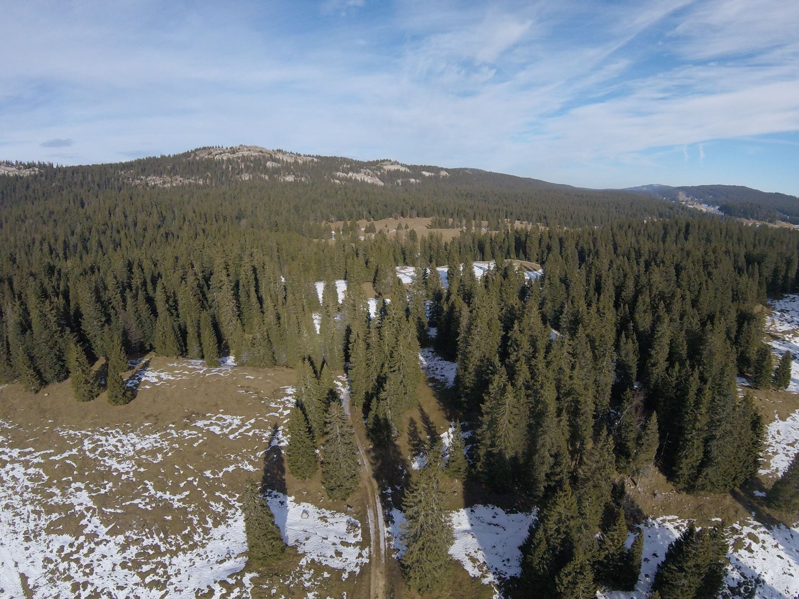 A forested mountain landscape with patches of snow.