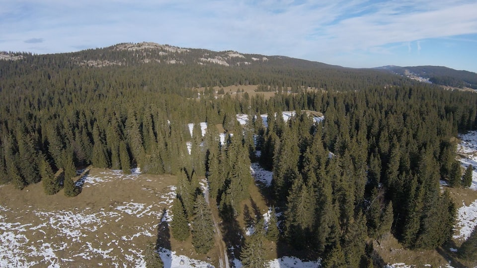 A forested mountain landscape with patches of snow.