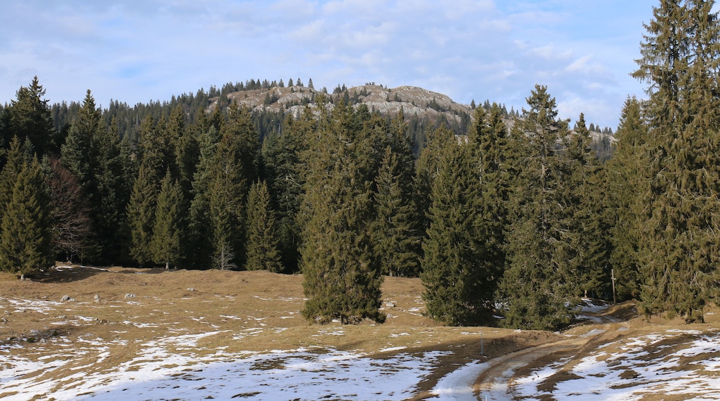 Mont Sâla, in the canton of Vaud