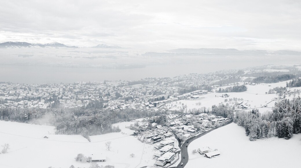Meilen am Zürichsee im Winter bei Schnee