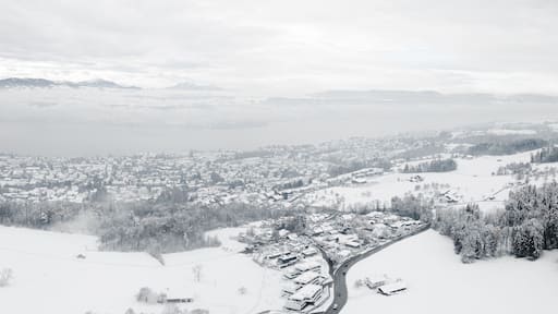 Meilen am Zürichsee im Winter bei Schnee