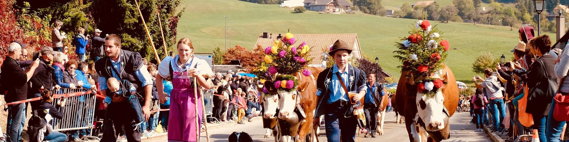 End of September is the traditionnal Désalpe in Charmey. Well organized with shuttles in and from the village, the main road is closed for the main event: the désalpe, where the cows come down from the 'alpage' for the winter. Cleaned up and dressed up with flowers, the cows - and their owners - come down with pride and for our great pleasure!