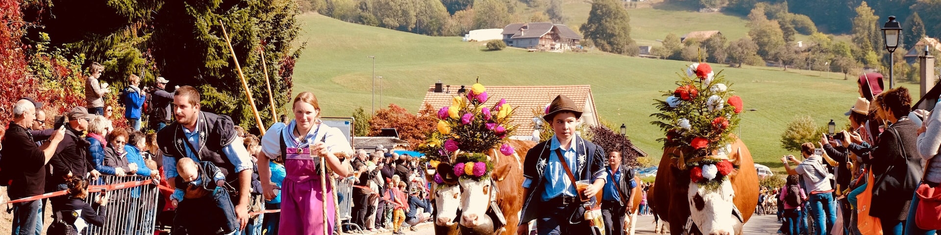 End of September is the traditionnal Désalpe in Charmey. Well organized with shuttles in and from the village, the main road is closed for the main event: the désalpe, where the cows come down from the 'alpage' for the winter.  Cleaned up and dressed up with flowers, the cows - and their owners - come down with pride and for our great pleasure!