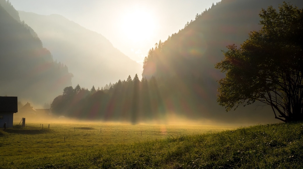 Great spot to capture the #golden morning light. At the end of September 8AM was a good timing to have the sun properly aligned ...