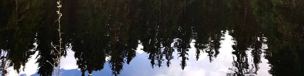 This beautiful lake in the canton of Jura in Switzerland can easily be surrounded by foot on a wooden bridge. You ll find peace and quiet in an unspoiled environment.
