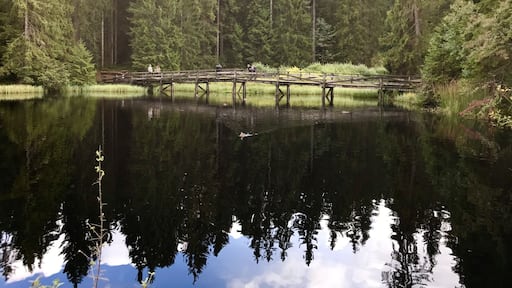 This beautiful lake in the canton of Jura in Switzerland can easily be surrounded by foot on a wooden bridge. You ll find peace and quiet in an unspoiled environment.