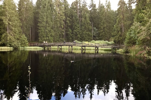 This beautiful lake in the canton of Jura in Switzerland can easily be surrounded by foot on a wooden bridge. You ll find peace and quiet in an unspoiled environment.