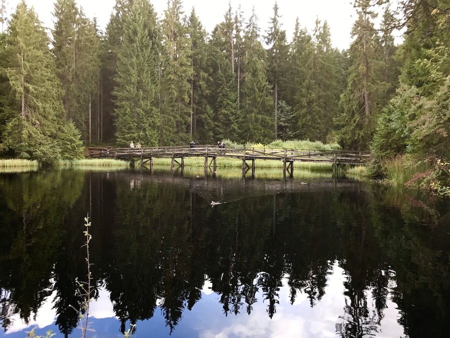 This beautiful lake in the canton of Jura in Switzerland can easily be surrounded by foot on a wooden bridge. You ll find peace and quiet in an unspoiled environment.