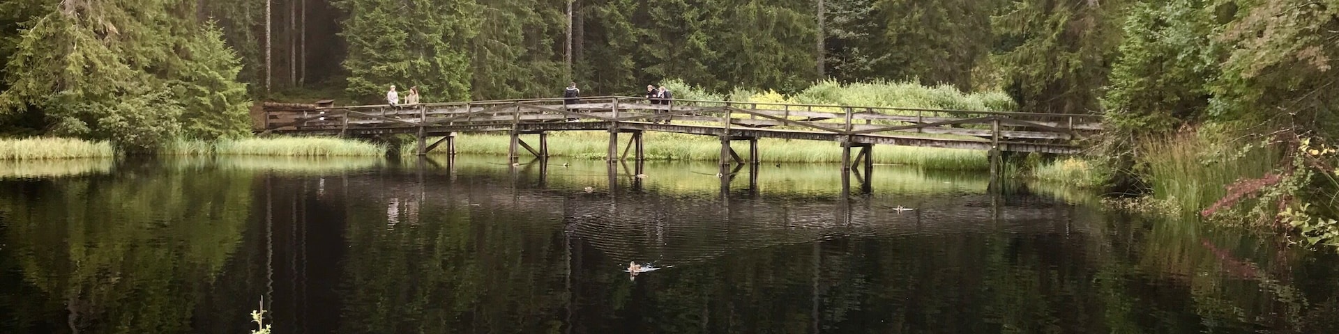 This beautiful lake in the canton of Jura in Switzerland can easily be surrounded by foot on a wooden bridge. You ll find peace and quiet in an unspoiled environment.