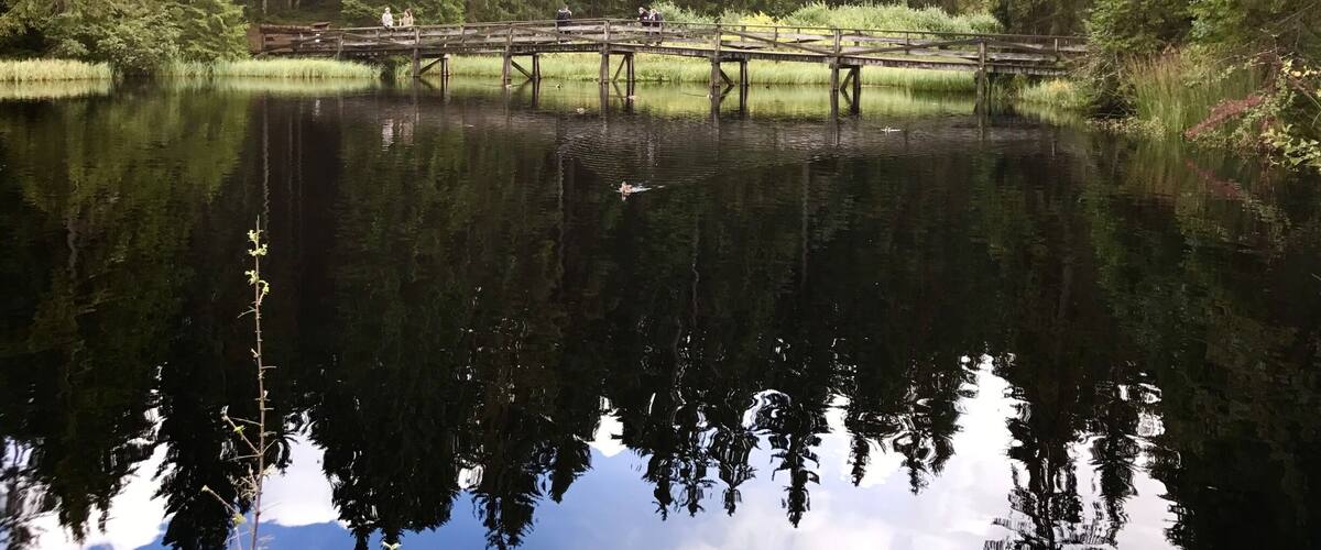 A calm lake surrounded by dense forest, a wooden bridge, and a few people walking on it.