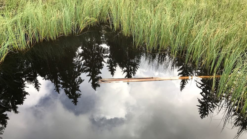 Which side up? Amazing reflections in Switzerland even on a cloudy day.