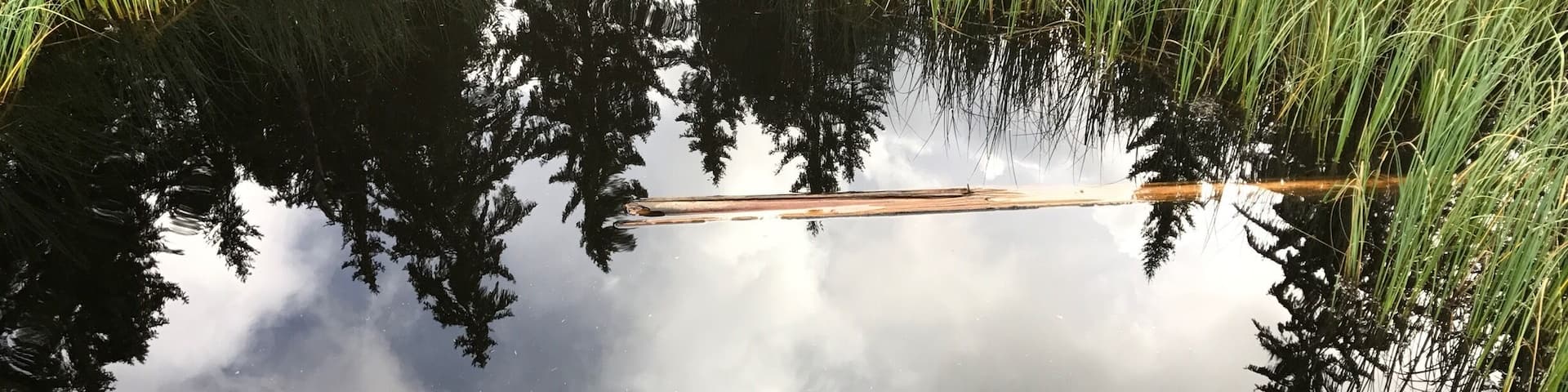 Which side up? Amazing reflections in Switzerland even on a cloudy day.