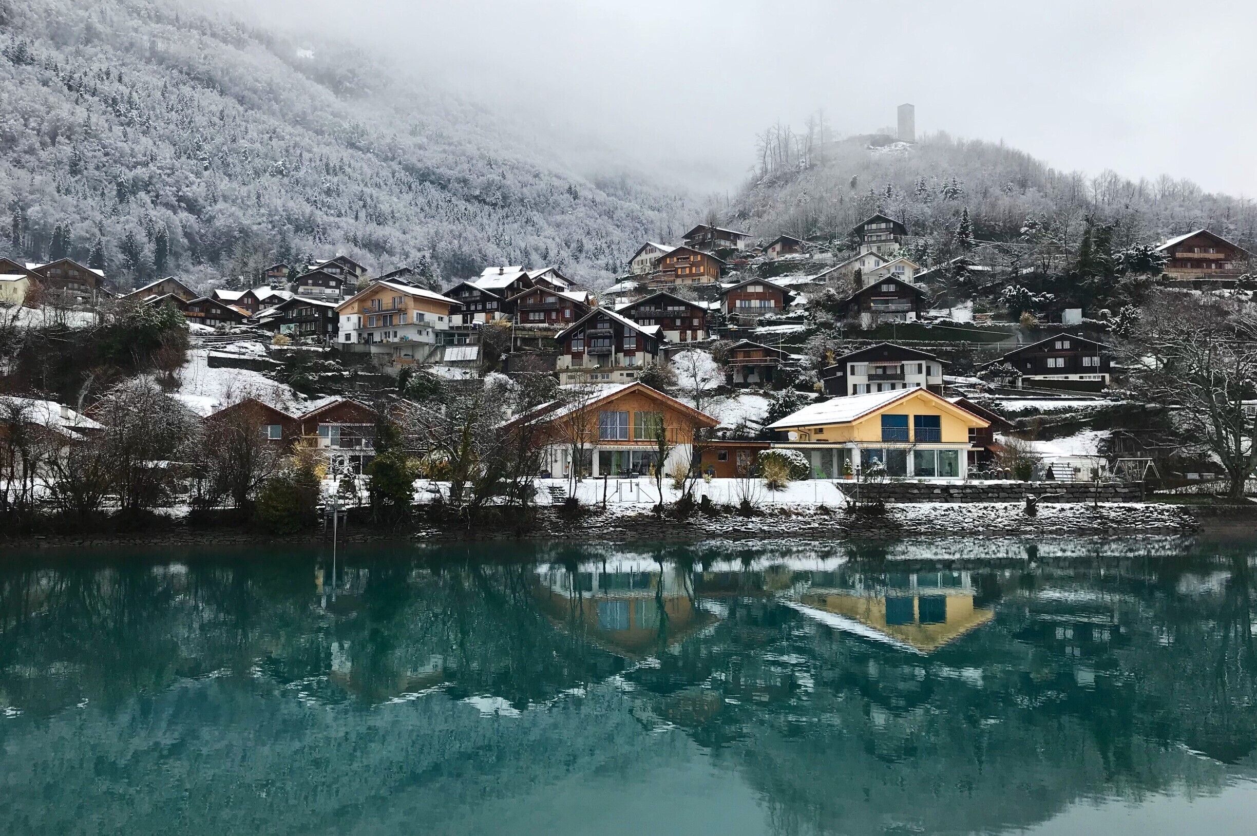 green and pristine on an early morning #LifeAtExpedia